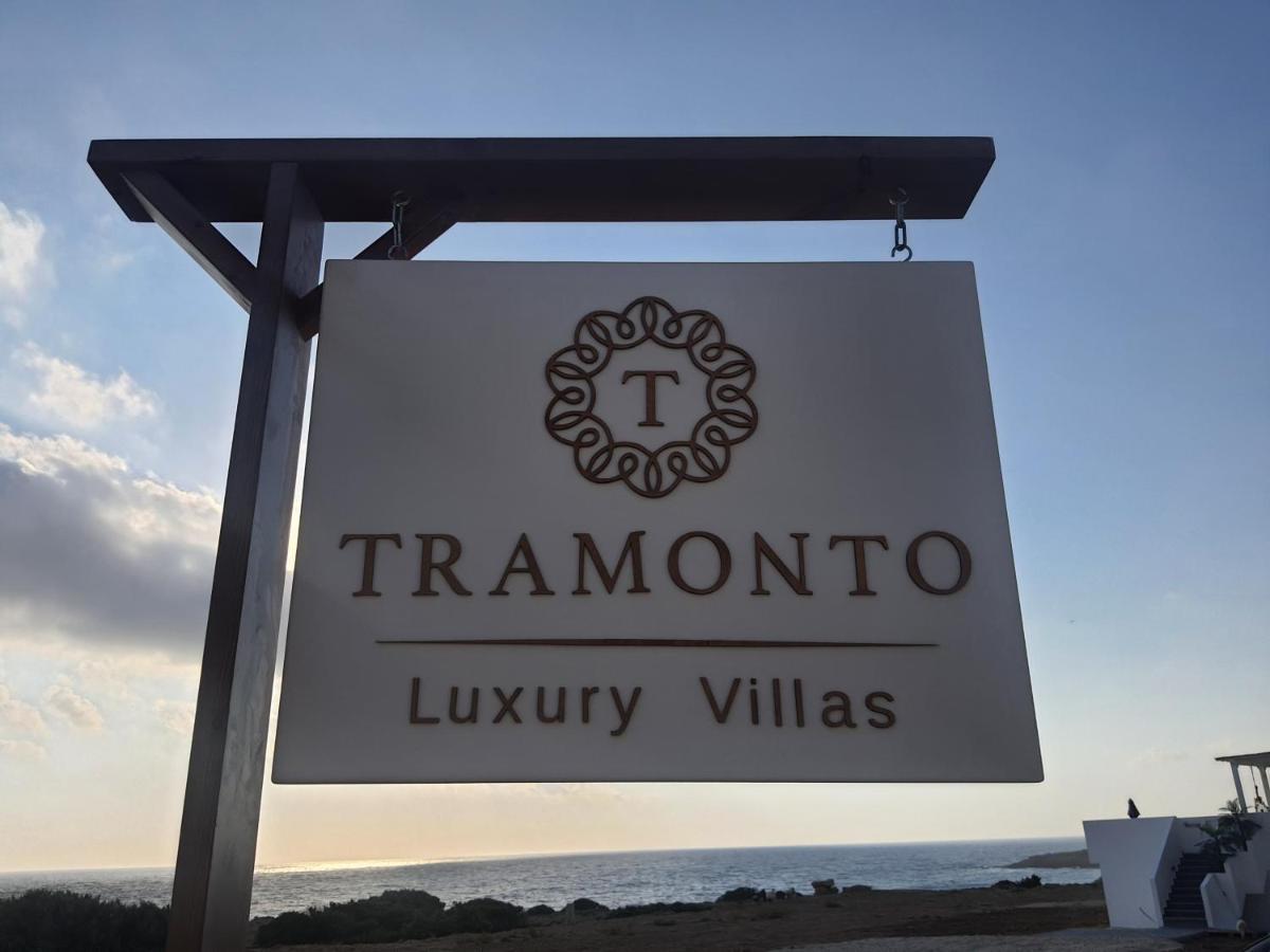 Tramonto Luxury Villa No2 - Breathtaking Sunset View Foiníkion Exteriér fotografie